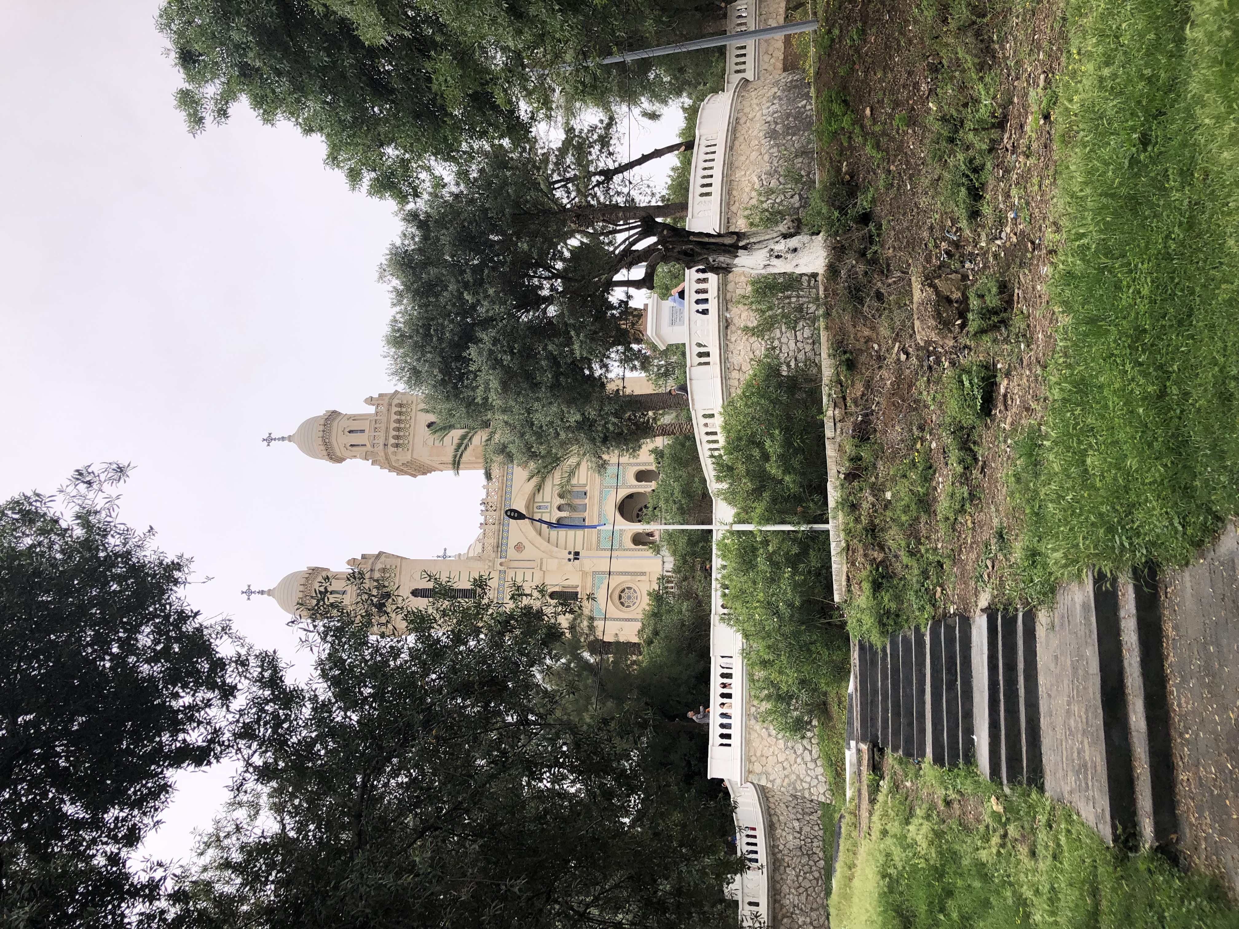 Exterior of the Basilica of Saint Augustine surrounded by trees in Annaba, Algeria.